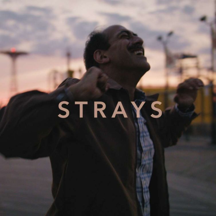 Strays 2